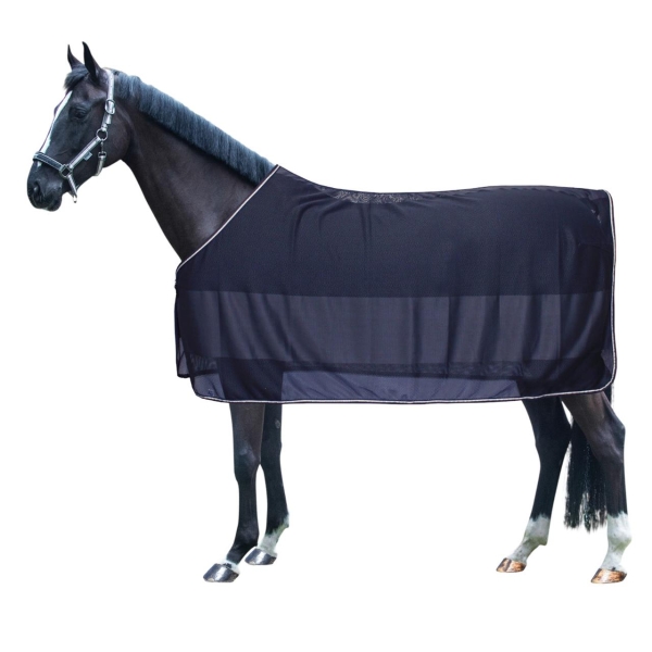 442900_1590_9840_Pferd.jpg